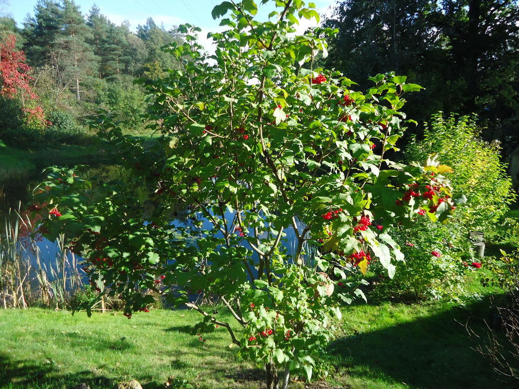 Homestay Roja Vilnius Exteriör bild