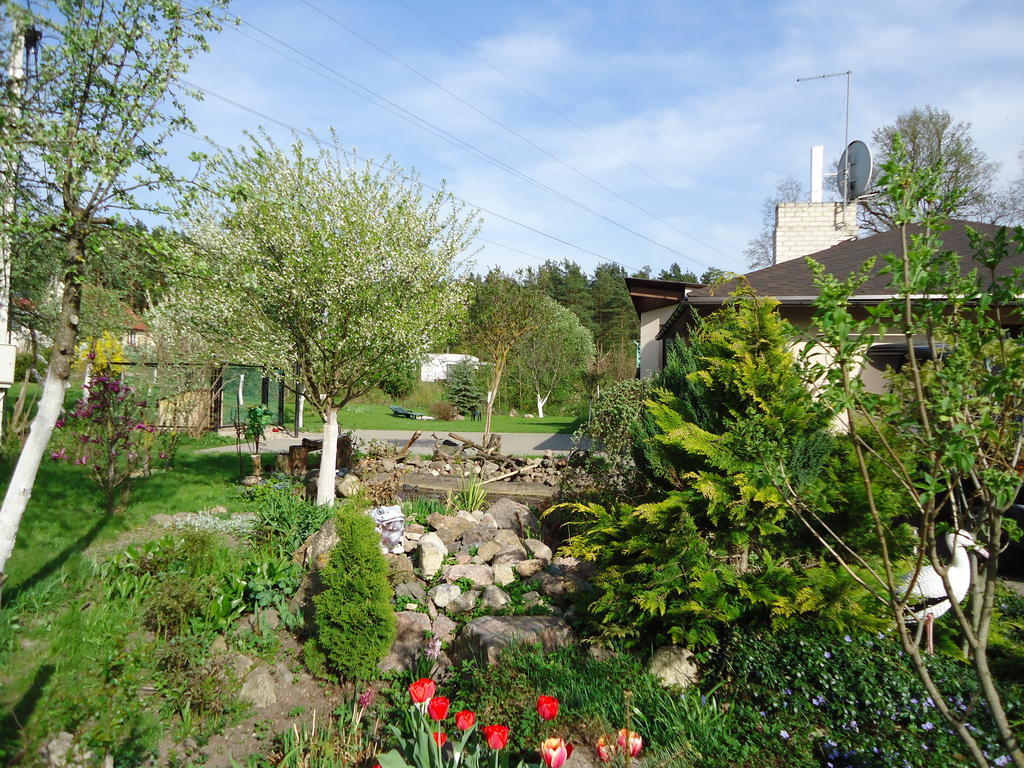 Homestay Roja Vilnius Exteriör bild
